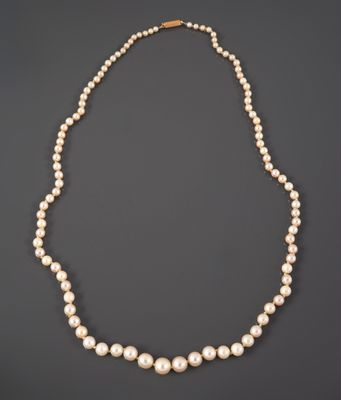 a white pearl necklace with a gold clasp