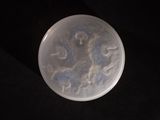 underside view of a plastic disc with a design on it on a black surface