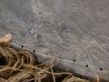 a close up of a piece of hair on the ground