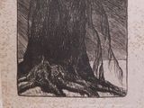 a black and white drawing of a tree in the woods