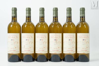 six bouteilles de vin sont alignées sur une surface blanche