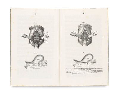 an open book with drawings of a man ' s head and a woman ' s face