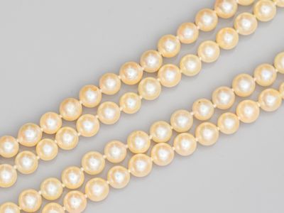 deux rangées de perles sur fond gris