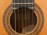 a close up of a guitar with strings hanging from it
