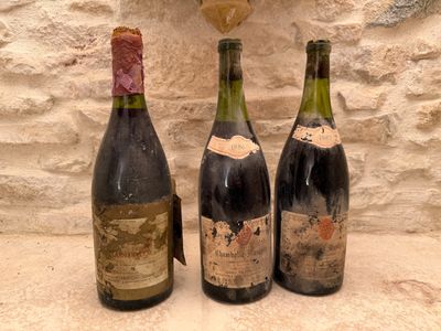 2 MG Chambolle Musigny. Domaine Jean Fournier. - Photo 1