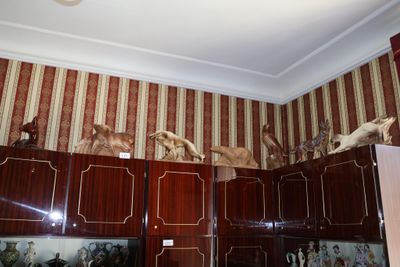 de nombreuses têtes de cerfs accrochées au mur au-dessus des placards