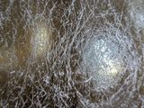a close up of a pot with a lot of water in it