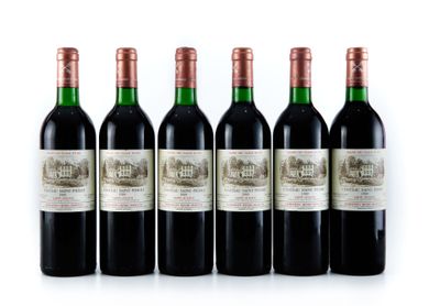 six bouteilles de vin rouge alignées sur une surface blanche