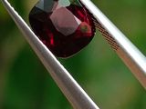 quelqu'un tient une pince dans laquelle est sertie une pierre rouge