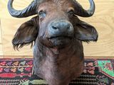 une statue représentant une tête de bison posée sur un tapis au sol