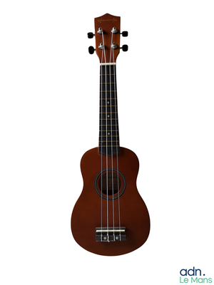 an image of a small ukulele with a wooden body and strings