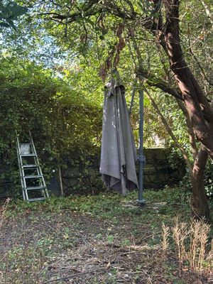 an umbrella that is hanging from a tree in the yard