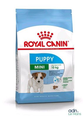royal canin mini puppy food