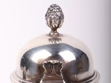 a silver plate with a lion head on top of it