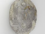 an image of a piece of rock with a face on it