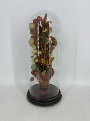 une cloche en verre contenant une plante