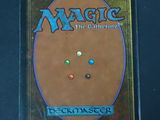 a close up of the back of a card game case