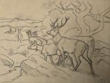 dessin au crayon représentant un troupeau de cerfs dans un champ parsemé d'arbres