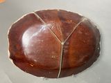 a picture of a wooden bowl on a table