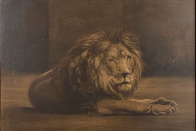 tableau représentant un lion couché par terre dans une pièce sombre