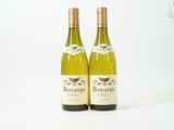 deux bouteilles de vin blanc posées l'une à côté de l'autre sur une surface blanche
