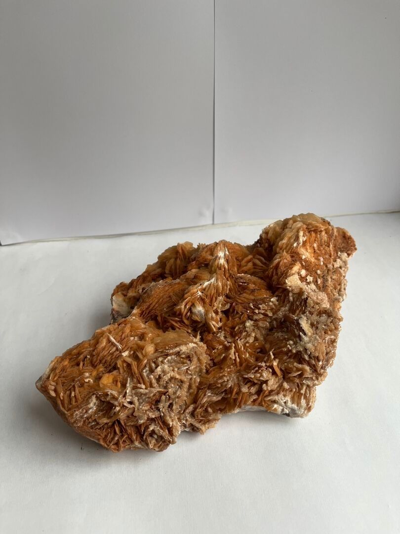 Objets d'art & Curiosités