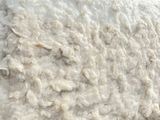 a close up picture of a sheep ' s wool on a table