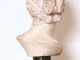 marble bust of a man with curly hair on a marble pedestal