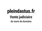 Photo 1/1 du lot