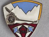 a close up of a badge with a gun on it