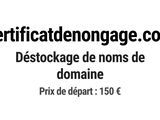 Photo 1/1 du lot