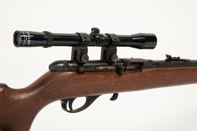 Carabine semi-automatique Squire Bingham calibre 22 LR modèl… - Photo 1