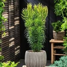 Destockage & Invendus