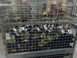 many bottles of wine in a cage on a cart