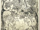 un dessin en noir et blanc représentant une forêt avec des arbres et des buissons