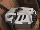 une cage de transport pour chien sur la banquette arrière d'une voiture