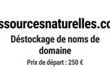 Photo 1/1 du lot