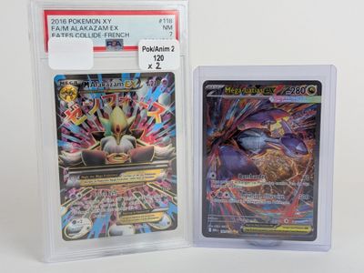 Deux cartes Pokémon se trouvent dans un étui en plastique transparent