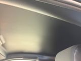 a cat that is sitting in the back seat of a car