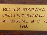 Photo 3/3 du lot