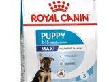 royal canin puppy maxi 2kg