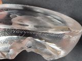 a person holding a piece of glass with a fish inside of it