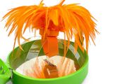 a bird feeder with an orange feather on top of it