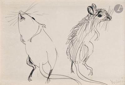 dessin représentant une souris et un rat côte à côte