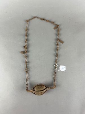 une image représentant un collier avec un coquillage suspendu à une chaîne