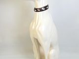 un chien blanc avec un collier, assis sur une surface blanche