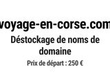 Photo 1/1 du lot