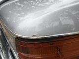 a close up of a car ' s tail light with a tree in the background
