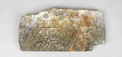 a piece of rock with carvings on it on a white surface