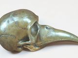 un crâne d'oiseau en bronze sur une surface blanche